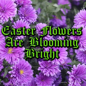 Easter Flowers Are Blooming Bright