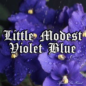 Little Modest Violet Blue
